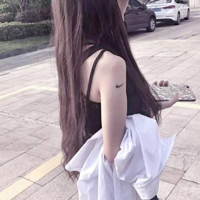 仙圣奇缘bt版下载